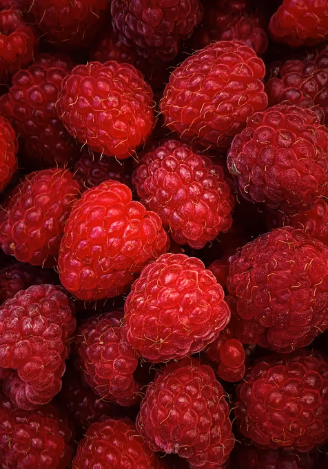 Visita Dietistica E Nutrizione Sportiva A Brescia