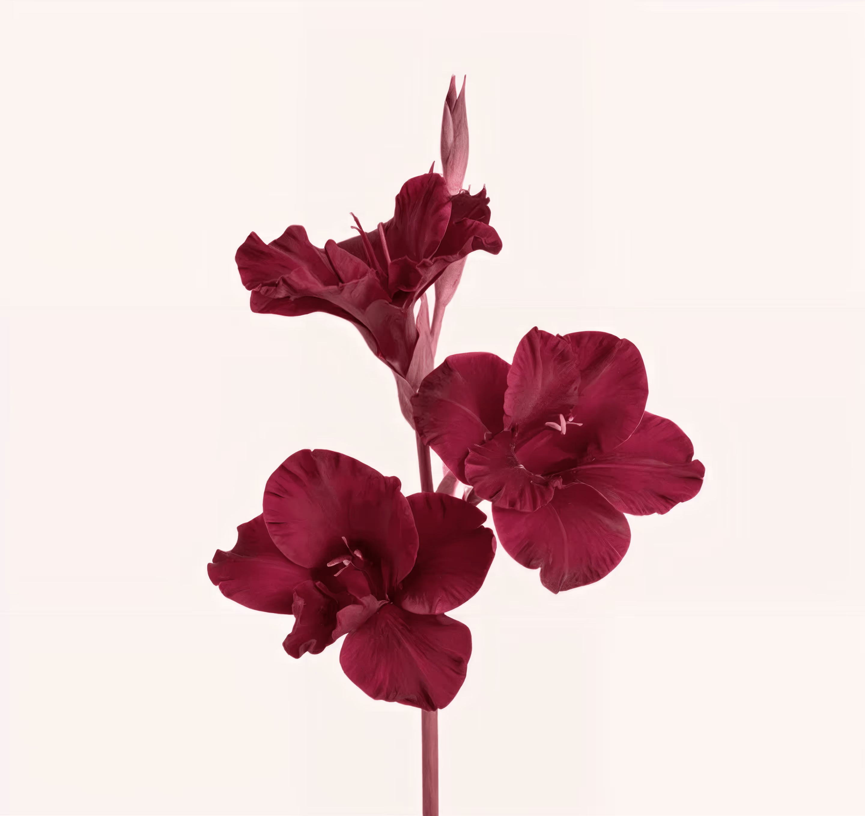 Armonia E Stile Di Vita Sano Nel Centro Di Medicina Estetica Corpo A
Brescia